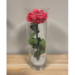 Cilinder d10x30h donkerroze glas