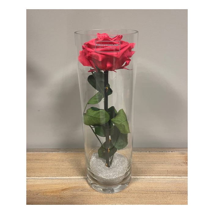 <h4>Cilinder d10x30h donkerroze glas</h4>