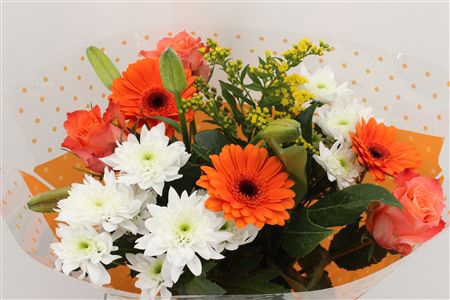 <h4>Boeket 3 Roos 3 Germini Oranje</h4>