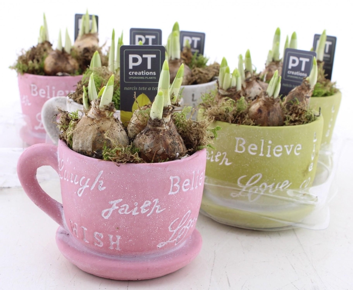 <h4>ARR N TETE A TETE</h4>