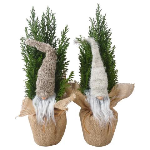 <h4>PTK25211 Ellwoodii in jute met decoratie</h4>