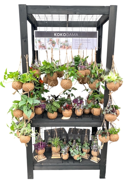 <h4>Kokodama Black Display table euro pallet size INCLUDING Kokodama's</h4>