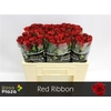 R Gr Red Ribbon X10