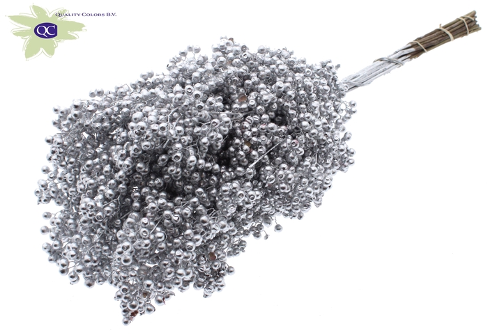 <h4>Pepperberries per bunch in poly silver</h4>