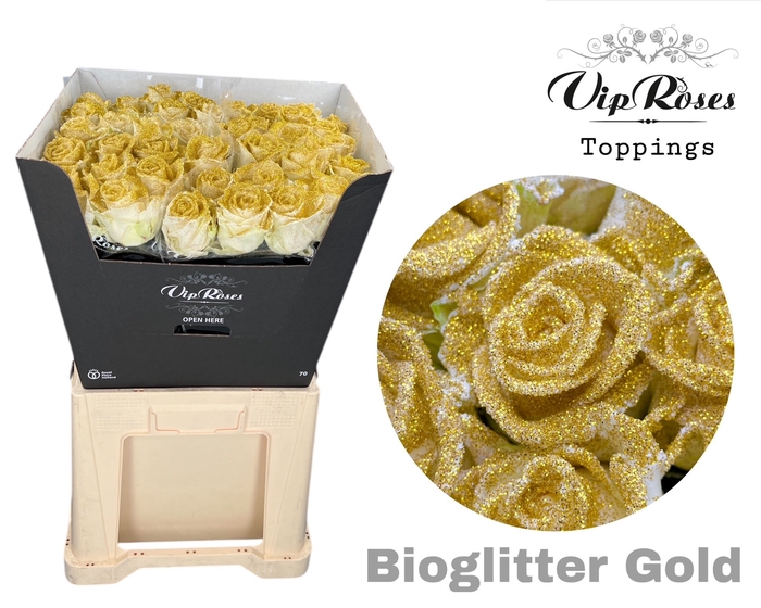 <h4>R GR AVALANCHE BIO GLITTER GOLD x40</h4>