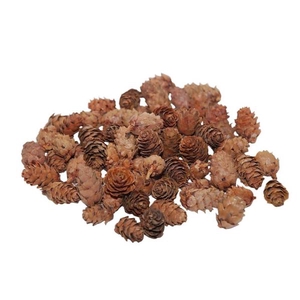 Pinecone Baby 150g L2