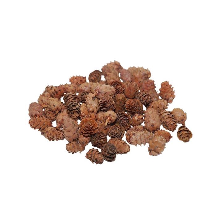 <h4>Pinecone Baby 150g L2</h4>