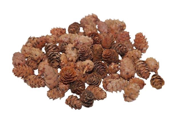<h4>Pinecone Baby 150g L2</h4>