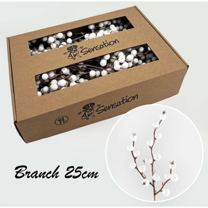 Zijde Berry Pick Spray Small Wit 25cm