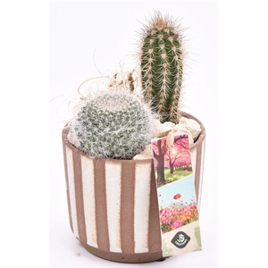 Keramiek safari look 11cm