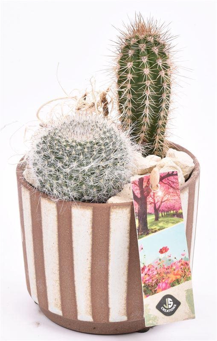 <h4>Keramiek safari look 11cm</h4>