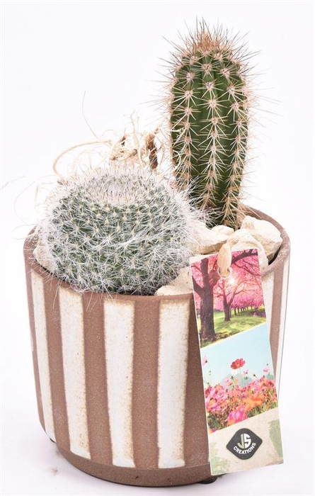 <h4>Keramiek safari look 11cm</h4>