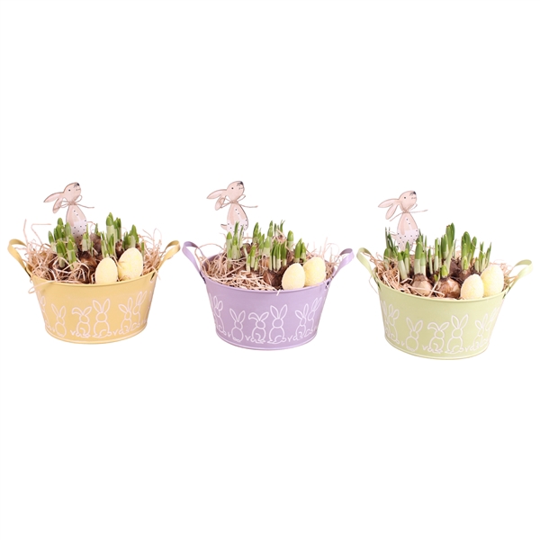 <h4>Easter Arr. Narcis Zinc Pot Round Bunny Relief Ø21cm</h4>