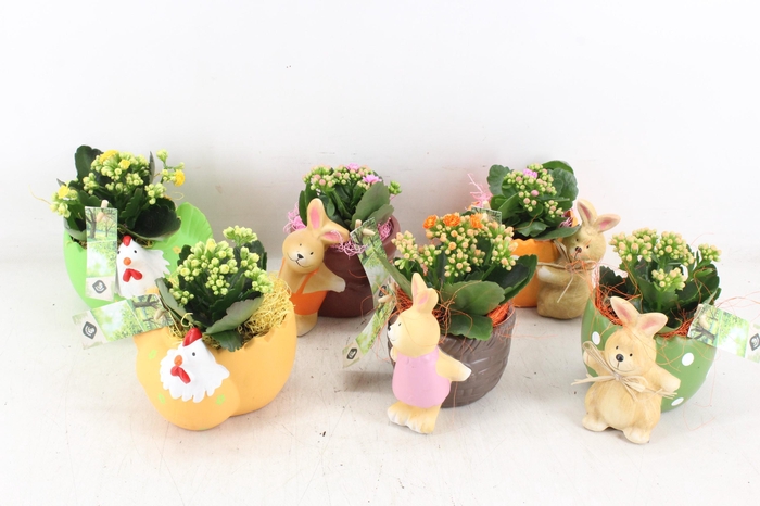 <h4>arr2 JS - Ker. easter pot mix - mix</h4>