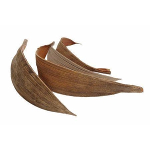 Coco Medium 10pc Natural