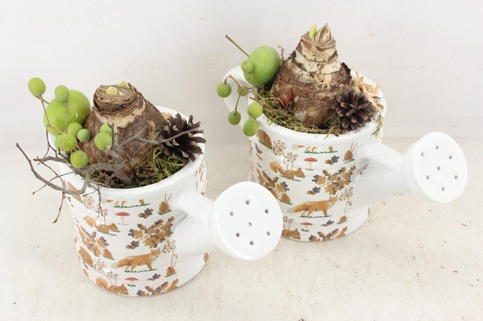 <h4>arr4 Amaryllis MB - Ker. gieter herfst print</h4>