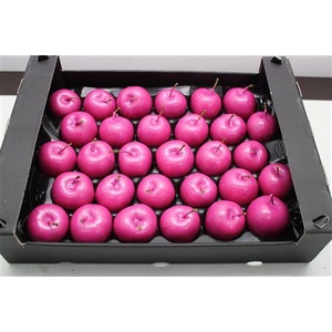 Waxappel Fuccia
