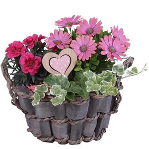 Mothersday Arr. Outdoor Willow Basket Woven Wood Round Ø25cm 3PP