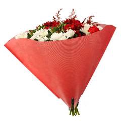 Hoes Angelo Satin Paperlook Paars