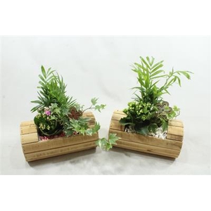 2277 HOUT BOOT INDOOR