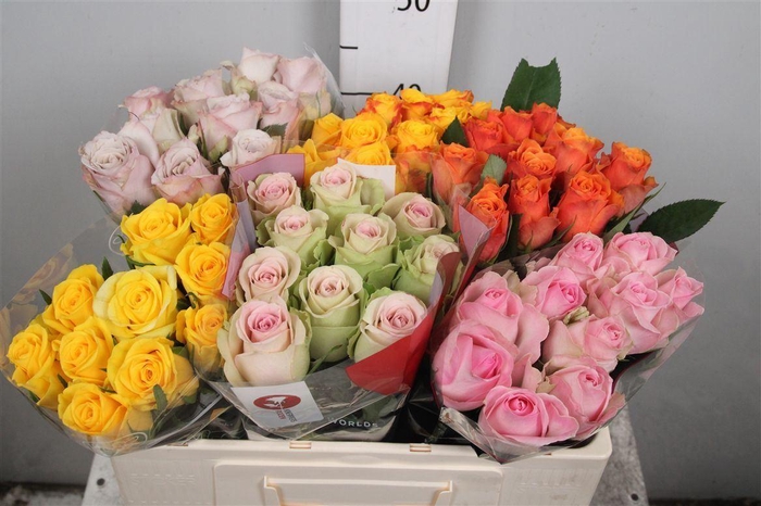 R Gr Gemengd In Fust B1