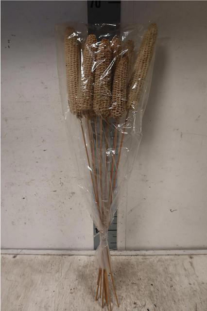 <h4>HUIS EN TUINDECO H%</h4>