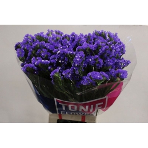 STAT CRYSTAL DARK BLUE 60 GR.