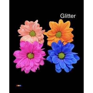 Chr T Chic Mix + Glit Bio