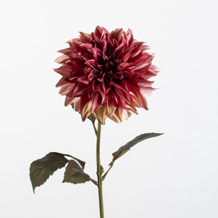 <h4>AF Dahlia L74cm D.pink</h4>
