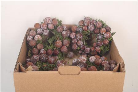 <h4>Krans Cypresse 15cm</h4>