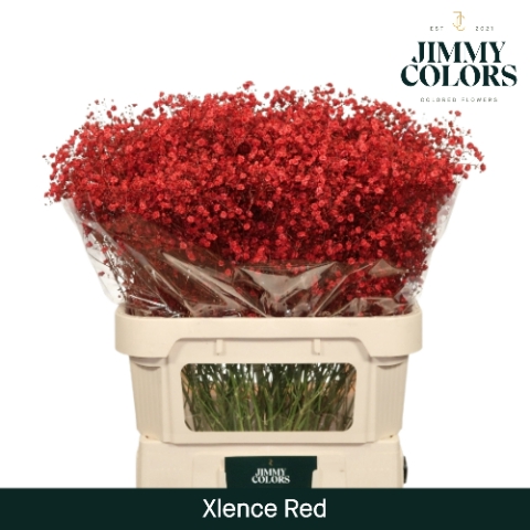 <h4>Gyps Xlence L80 Red</h4>