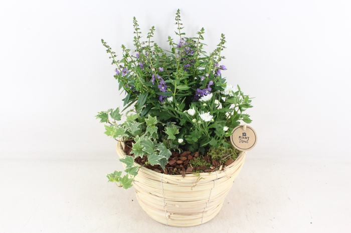<h4>arr4 Outdoor PL - Mand paia naturel</h4>