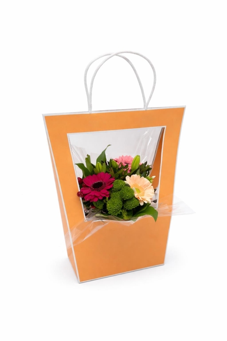 <h4>Aqua-bulle Shopper</h4>