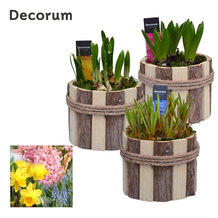 <h4>Bollenmix Tak Rond HL17763B</h4>