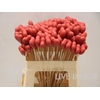 DECO stick heart red