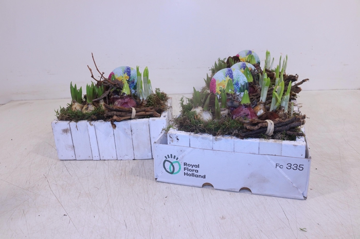 <h4>ARR BOL KNOLGEWAS</h4>