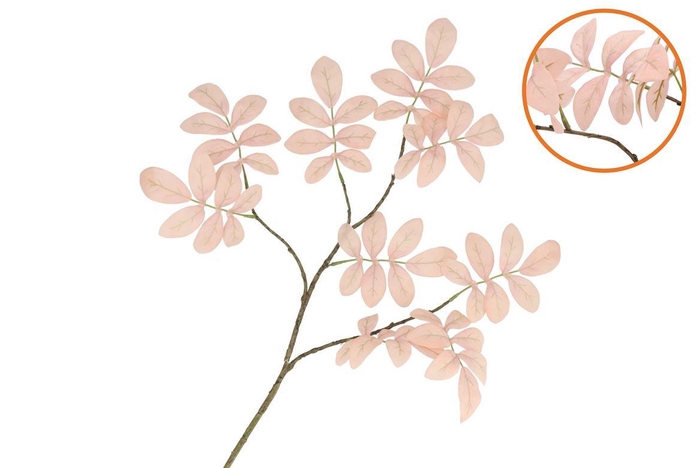 <h4>Silk Leaf Rowan Champagne 71cm Nm</h4>