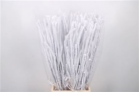 <h4>Berk Snow Per Bunch 70cm</h4>