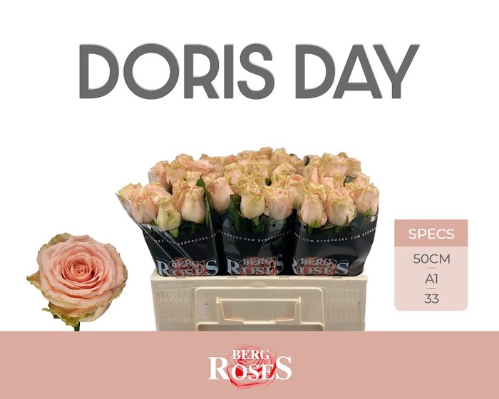 R Gr Doris Day