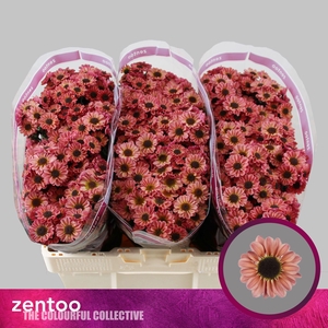 CHR SAN YIN YANG SMOKEY CHR S YIN Y