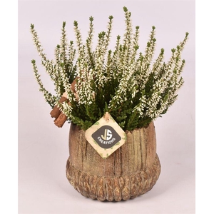 Cement eikel 14 cm bruin