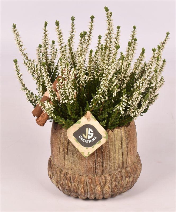 <h4>Cement eikel 14 cm bruin</h4>