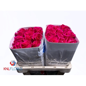R GR PINK FLOYD!