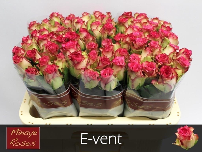 <h4>R Gr E-vent</h4>