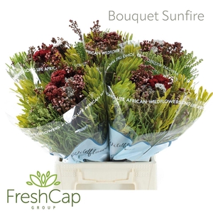 Bouquet Sunfire