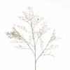 AF Limonium L82cm Pink