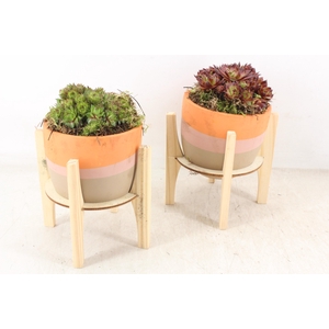 arr4 Semp PL - Ker. pot retro hout voet