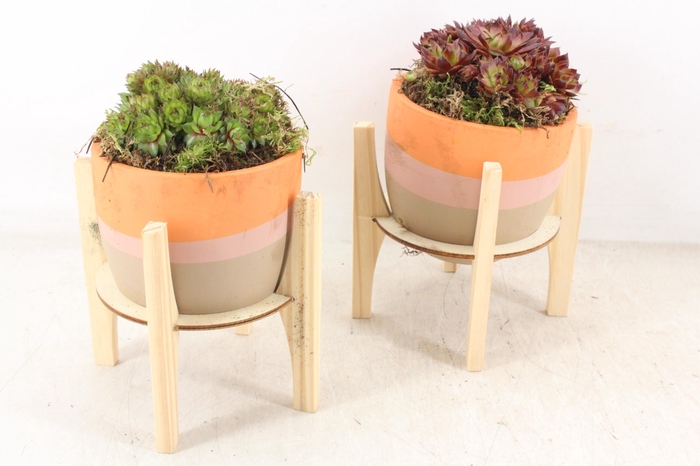 <h4>arr4 Semp PL - Ker. pot retro hout voet</h4>