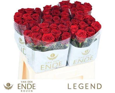 <h4>R Gr Red Naomi!</h4>