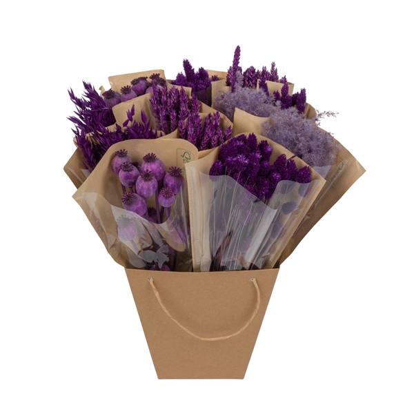 Droogbloemen-Dried Mono Mix 50cm-Purple